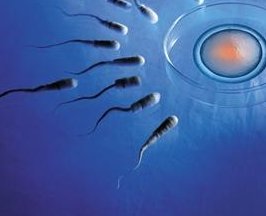 死精率80%的男性可以在沙市区做三代试管吗？公开2026做三代试管条件