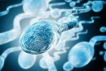 无卵泡去杭州做三代试管的费用贵吗？大概要多少钱？