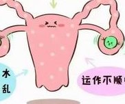 广东省佛山市最大的助孕公司，附10大试管生殖机构排名一览