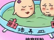 做试管助孕自怀的成功率高不高？真实情况可能达不到80%