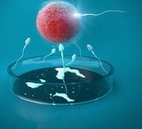 杭州地区权威试管助孕医院一览及选择指南