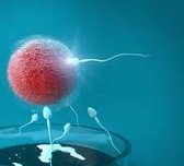 泰国试管婴儿的费用价钱是多少？