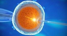 河北省邯郸人工受孕多少钱？哪家试管婴儿医院最可靠？