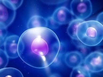 上海试管婴儿费用到底要多少？2026年试管能成功15万预算够不够用