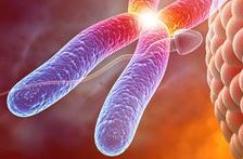 艾滋病患者可以做试管婴儿吗？艾滋病洗精试管婴儿多少钱